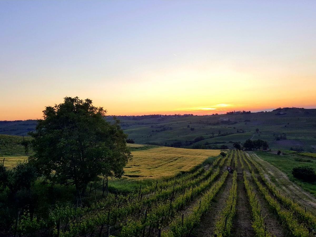 La Terrazza Sui Vigneti-Rovescala Bed & Breakfast San Damiano al Colle Exterior photo