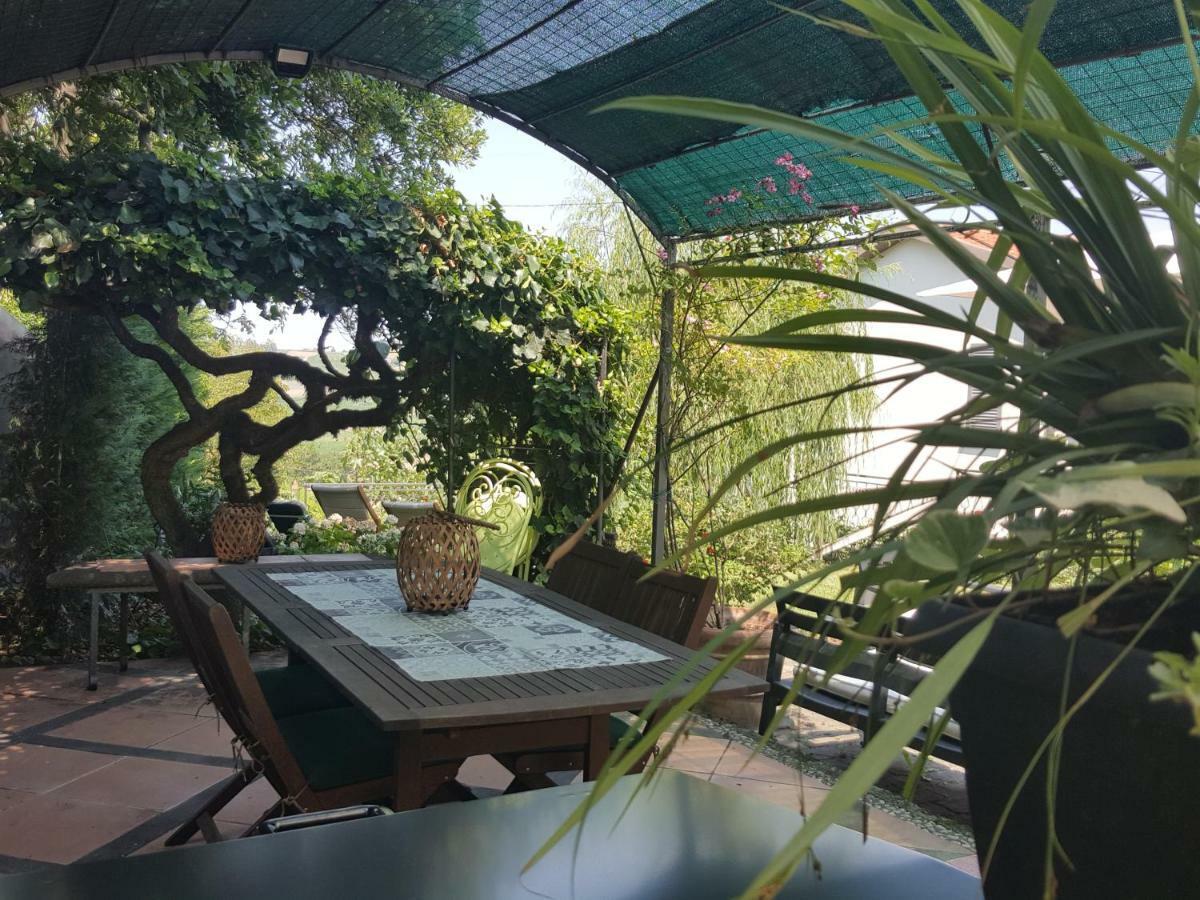 La Terrazza Sui Vigneti-Rovescala Bed & Breakfast San Damiano al Colle Exterior photo