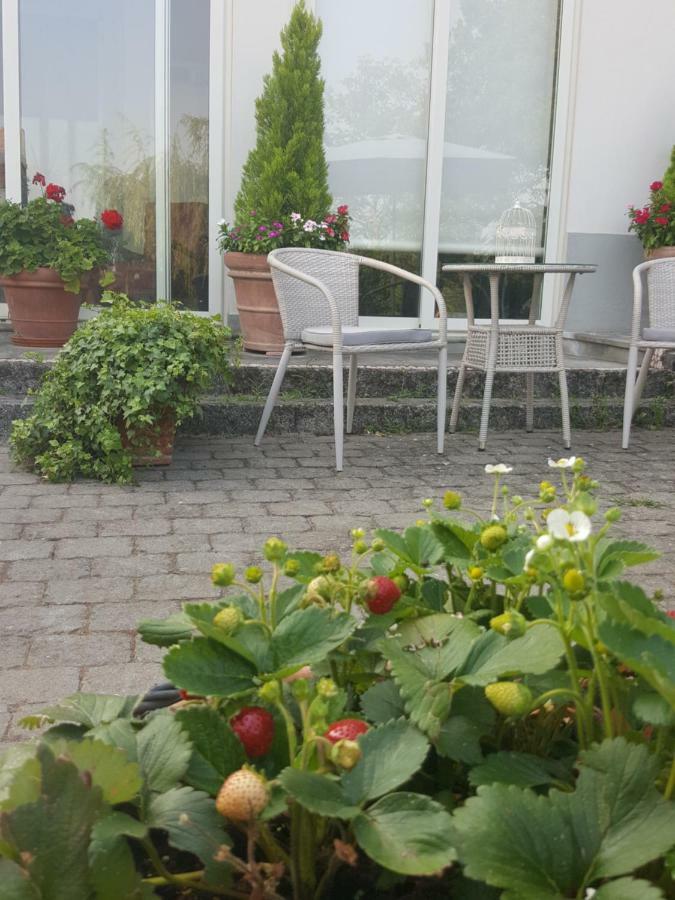 La Terrazza Sui Vigneti-Rovescala Bed & Breakfast San Damiano al Colle Exterior photo